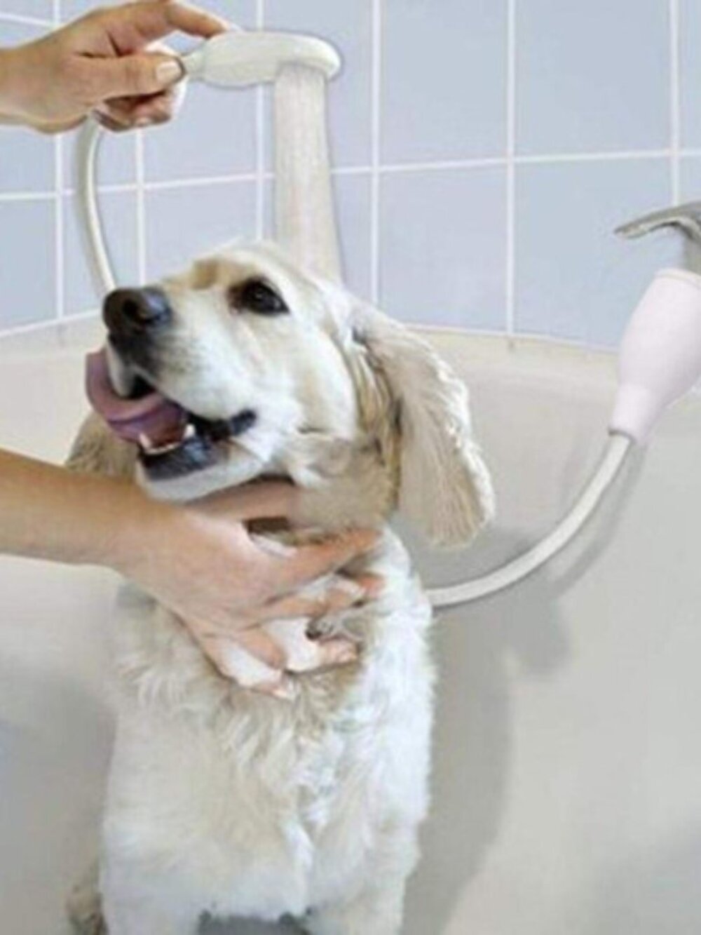 Dog Wash Faucet Adapter